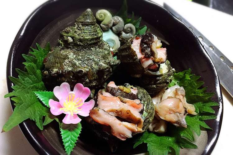 サザエのお造り ボイルした肝を添えて レシピ 作り方 By まるたまん クックパッド 簡単おいしいみんなのレシピが353万品