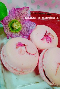 春の香り❀フワフワ桜マカロン♡