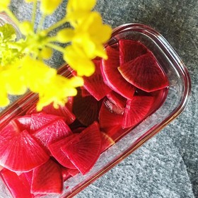 **赤大根(紅くるり大根)の甘酢漬け**