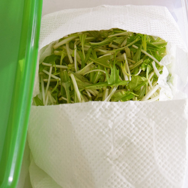 鮮度長持ち 水菜の保存法 レシピ 作り方 By Ukulele大好き クックパッド 簡単おいしいみんなのレシピが359万品 鮮度長持ち 水菜の保存法 レシピ 作り方 By Ukulele大好き クックパッド 簡単おいしいみんなのレシピが359万品