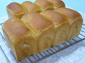 きなこの小さな食ぱん