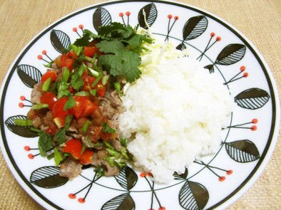 ブラジル風仔羊肉丼の写真