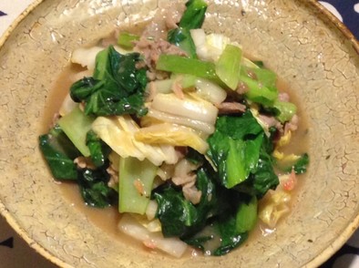 小松菜と白菜の中華風炒めの写真