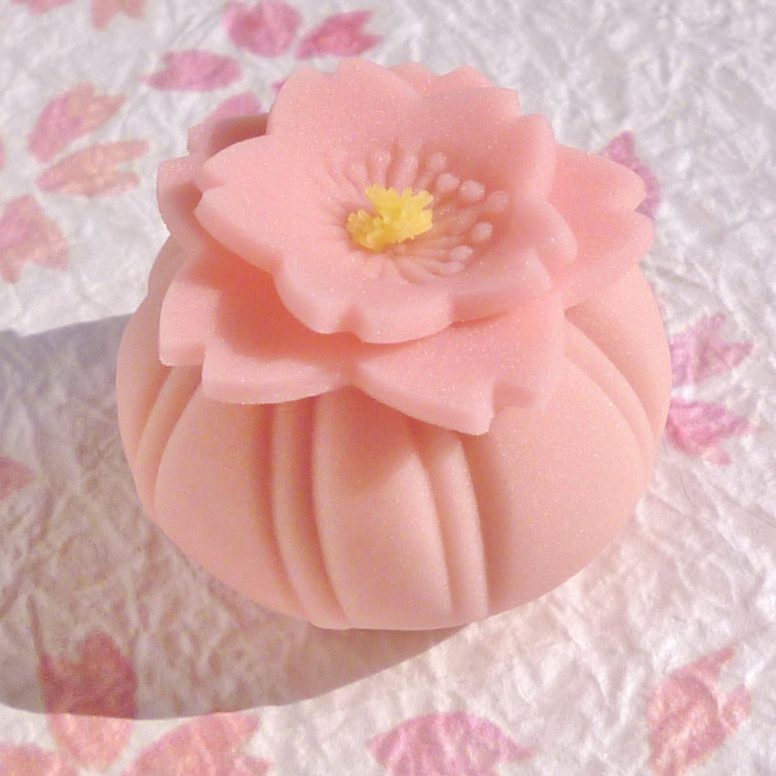 桜 桜型 和菓子用物相型 cotta ステンレスクッキー型 桜 | cottaオリジナル