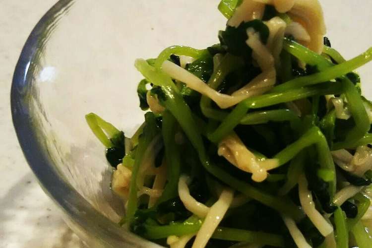 簡単節約 豆苗とえのきのからし醤油和え レシピ 作り方 By Kimisunsun クックパッド 簡単おいしいみんなのレシピが357万品