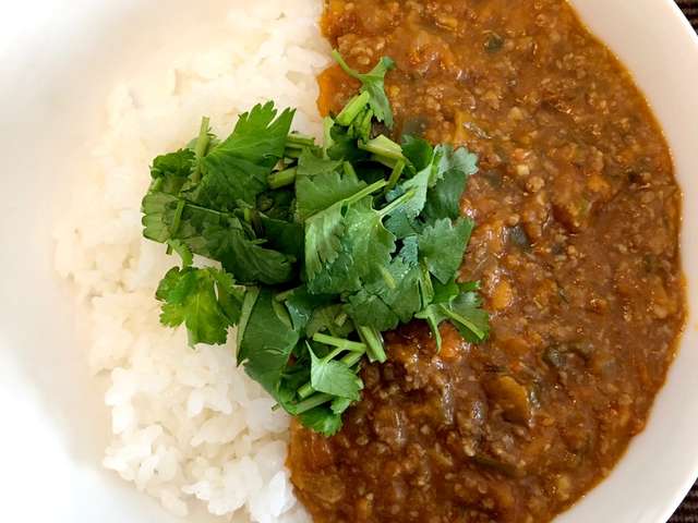 綺麗なキーマカレー 子供 ルーなし かわいい子供たちの画像
