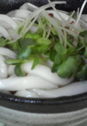 かいわれ大根うどん