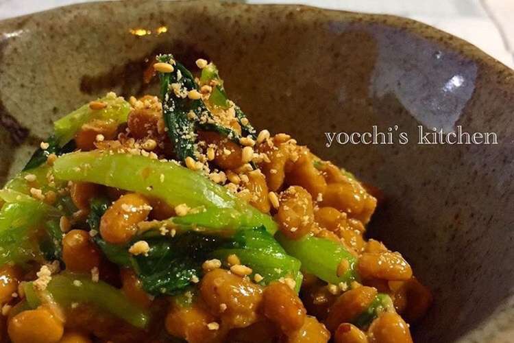あと一品 簡単うまい 納豆小松菜和え レシピ 作り方 By よちよちよ クックパッド 簡単おいしいみんなのレシピが352万品