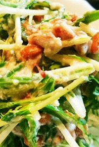 簡単水菜と納豆の白和えサラダ