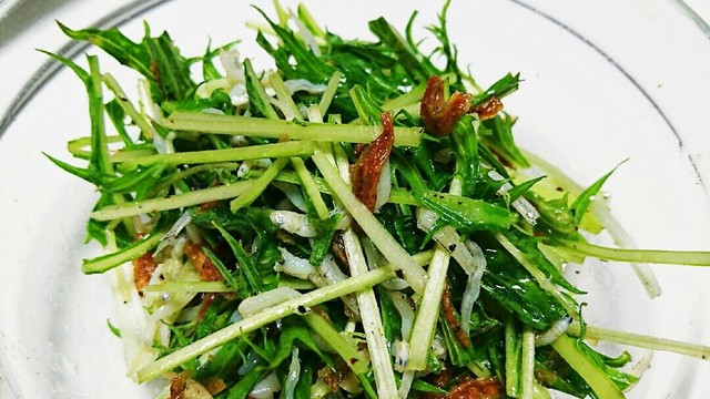 水菜としらすのサラダ レシピ 作り方 By Ayaneo クックパッド 簡単おいしいみんなのレシピが361万品