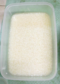 スープポット500ml用米麹の甘酒自分用