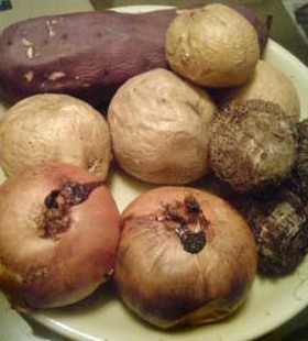 焼き芋盛り合わせ