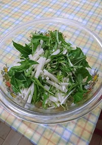 簡単水菜と長芋のサラダ