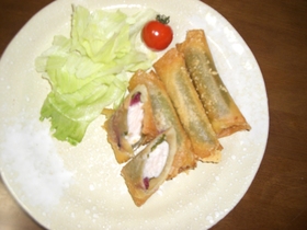 簡単ささみチーズと梅ささみ春巻き