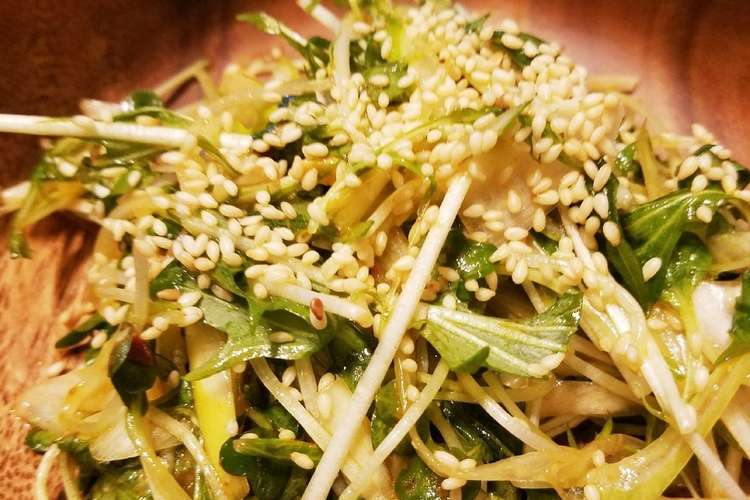 ネギかいわれ大根水菜セロリ レシピ 作り方 By テニスコーチ クックパッド 簡単おいしいみんなのレシピが352万品