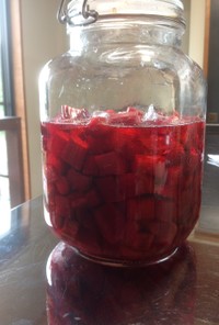 真っ赤なルバーブシロップ（氷砂糖版）