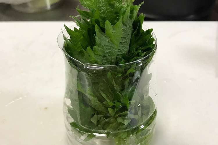 保存 大葉