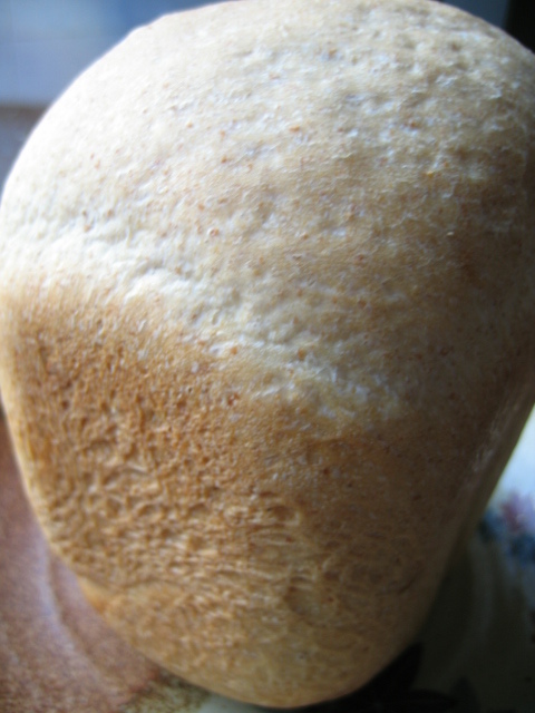 白神こだま酵母で　全粒粉食パンの画像