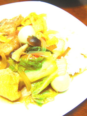 白菜と豚肉のあんかけごはん