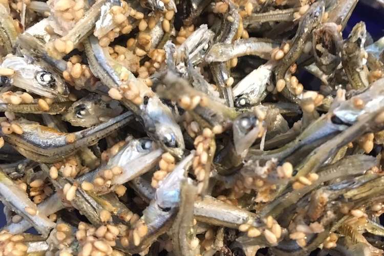 小魚バリバリ食べちゃうおやつ レシピ 作り方 By ヒットミ クックパッド 簡単おいしいみんなのレシピが368万品