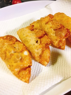 肉じゃが×揚げ餃子