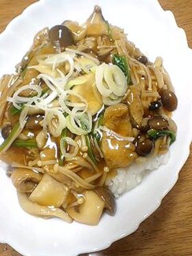 簡単でヘルシーなキノコのあんかけ丼