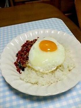 鶏肉のガパオ炒めご飯