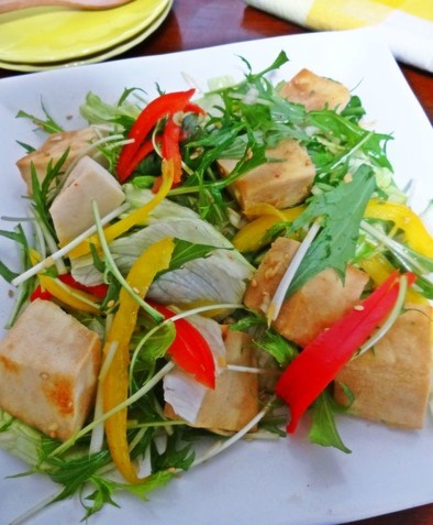 高野豆腐の野菜たっぷりサラダ油淋鶏の写真