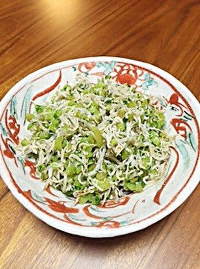 大根菜としらすのピリ辛炒め			の写真