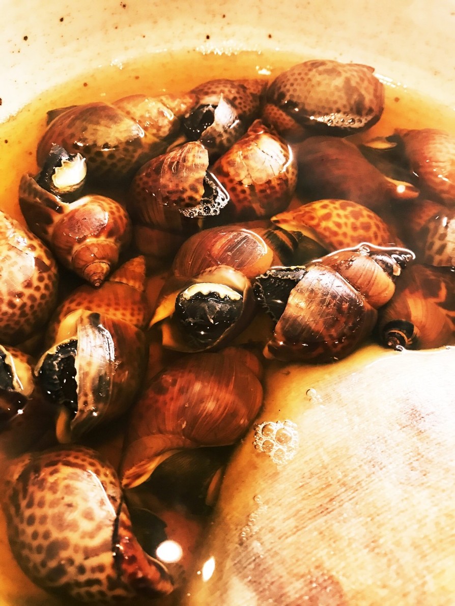 バイ貝のうま煮の画像