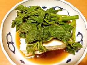 簡単!山ウド(穂先)のわさび醤油漬で冷奴
