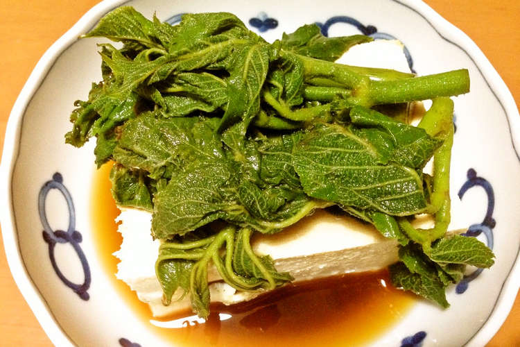 簡単 山ウド 穂先 のわさび醤油漬で冷奴 レシピ 作り方 By 広東麵 クックパッド 簡単おいしいみんなのレシピが357万品