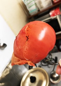 焼いてトマトの薄皮むき