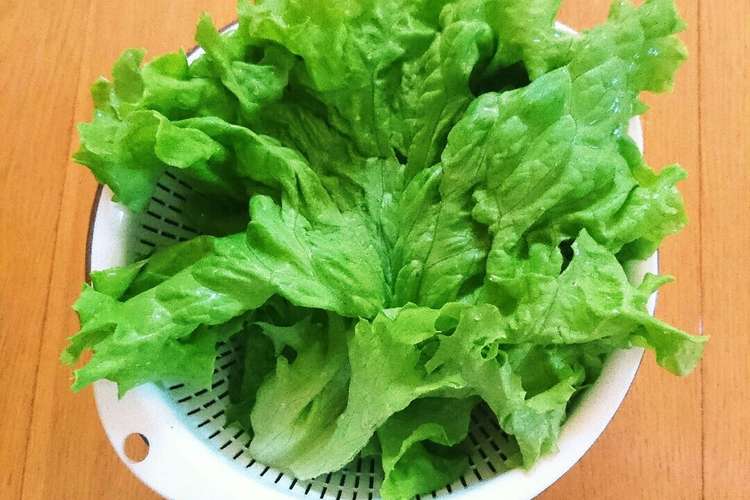 裏技 簡単 野菜の水切り レシピ 作り方 By ぷくちん クックパッド 簡単おいしいみんなのレシピが358万品