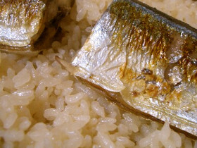 秋刀魚の炊き込み御飯