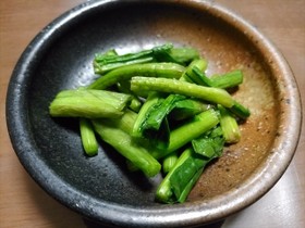 ギシギシの簡単一夜漬け