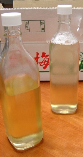 炊飯器を使って梅ジュース