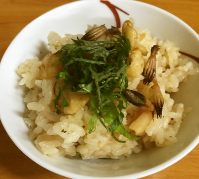 白ミル貝とつくしの炊き込みご飯の写真