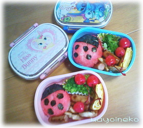 てんとう虫のお弁当