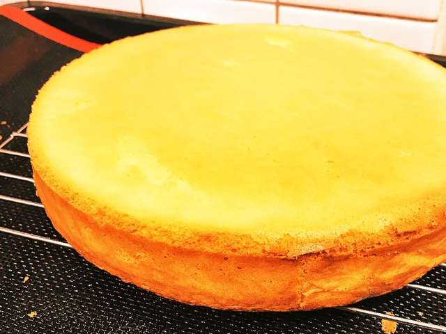 印刷可能 スポンジ ケーキ 21 センチ 500 トップ画像のレシピ