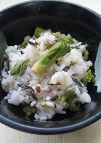 タラの芽と雑穀米ご飯