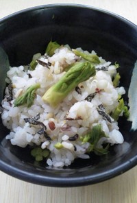 タラの芽と雑穀米ご飯