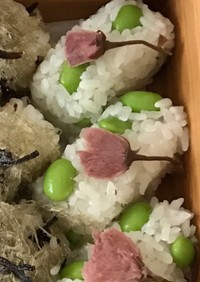 俵型おにぎり♡枝豆と桜  ひな祭り