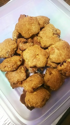 プロテインクッキー