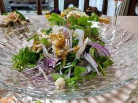 蒸し鶏とパクチーのサラダ♡