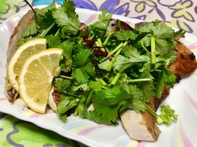 タイ風ブリの照り焼き(パクチーMAX)
