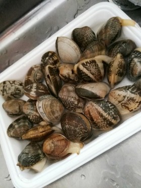 簡単にしっかり抜ける!あさりの砂抜き