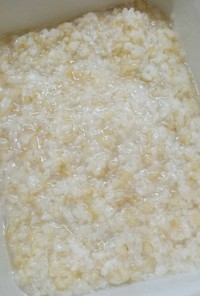 炊飯器で★玄米甘酒の簡単な作り方