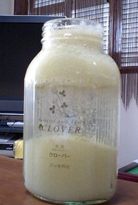 キャベツの酵素ジュース