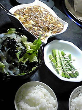 甘辛マーボー豆腐